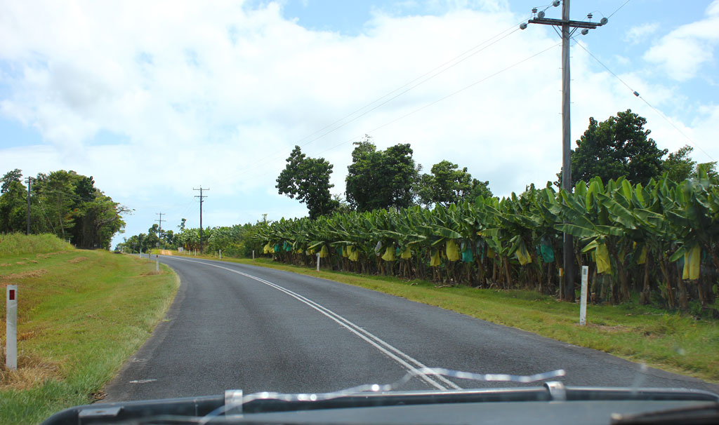 Mission beach / Cairns