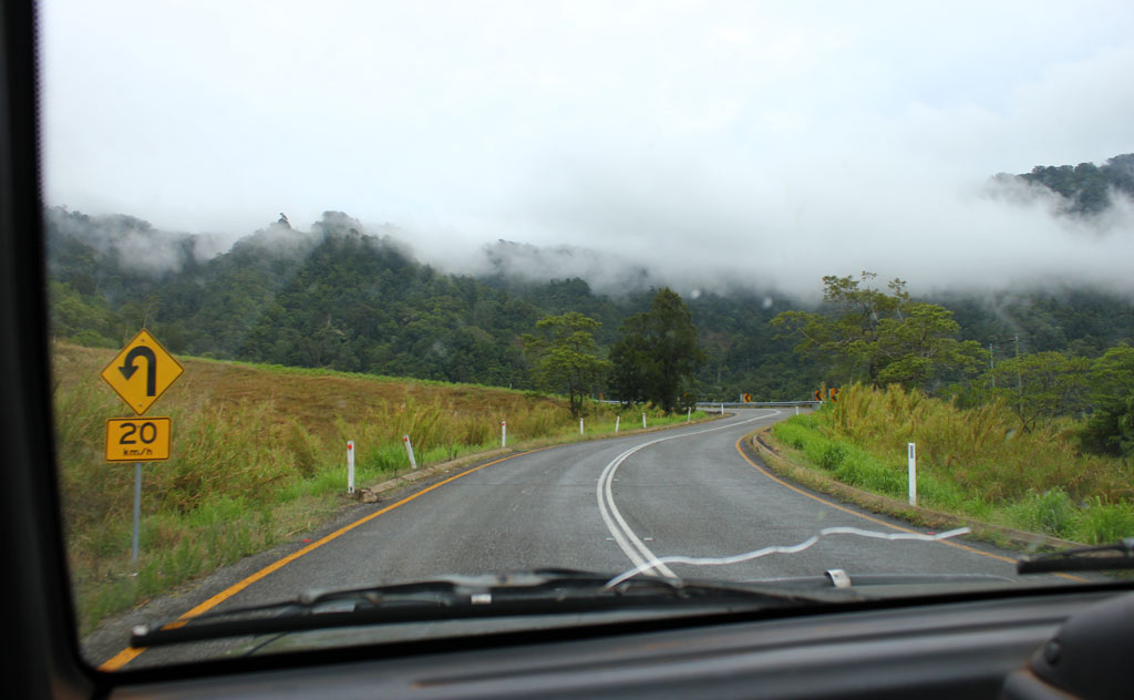 Eungella National park