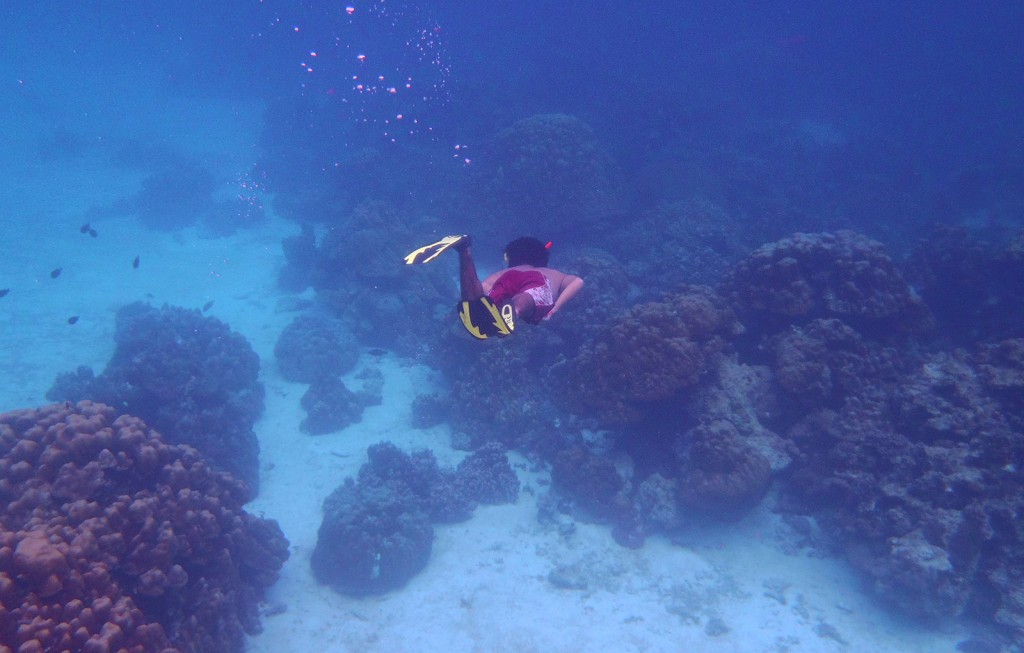 PB080763b